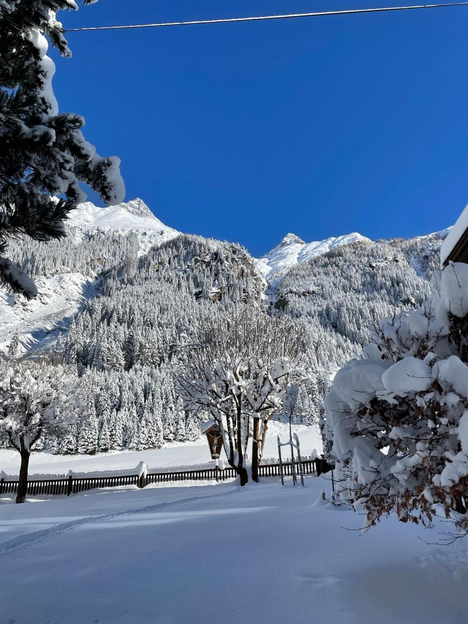 Luibisblick